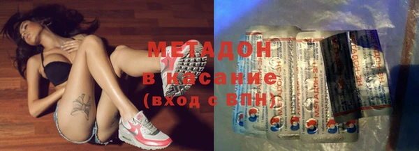 прущие грибы Бронницы