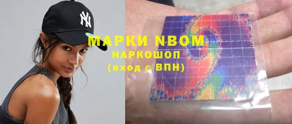 прущие грибы Бронницы