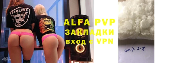 прущие грибы Бронницы
