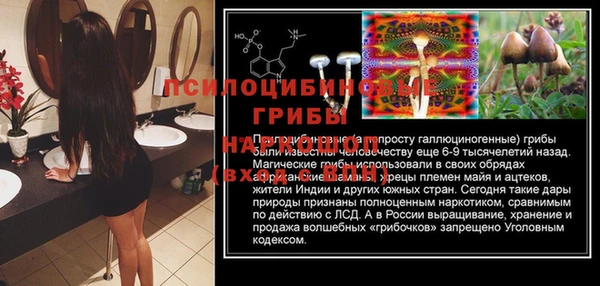 эйфоретик Верея
