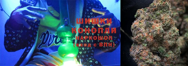 прущие грибы Бронницы