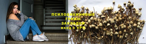 прущие грибы Бронницы