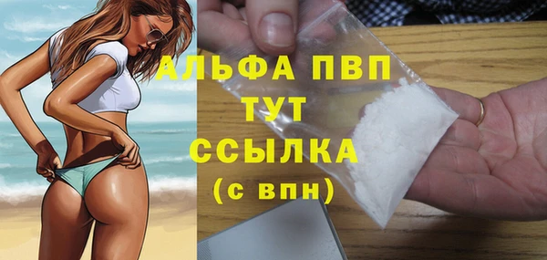 прущие грибы Бронницы